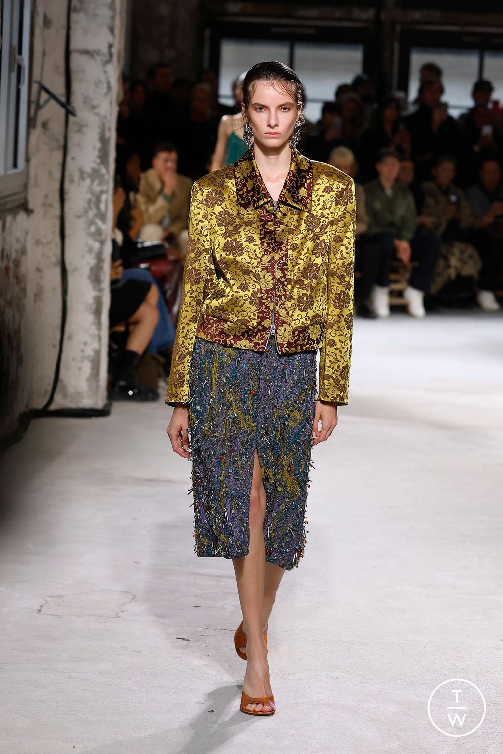 Fashion Week Paris Spring/Summer 2025 look 38 from the Dries Van Noten collection womenswear