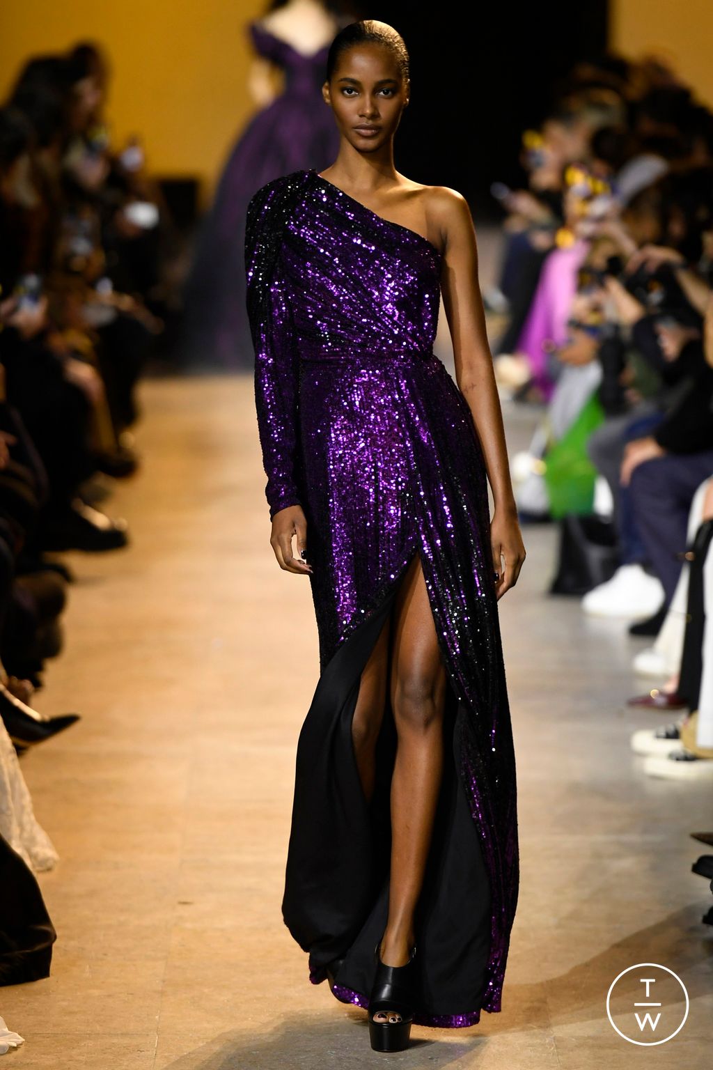 Fashion Week Paris Fall/Winter 2024 look 46 from the Elie Saab collection 女装