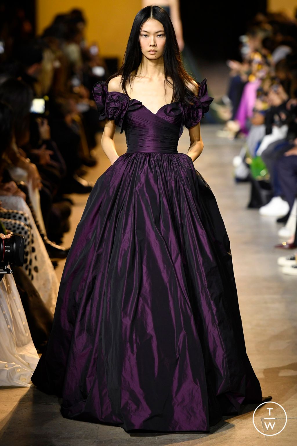 Fashion Week Paris Fall/Winter 2024 look 47 from the Elie Saab collection 女装