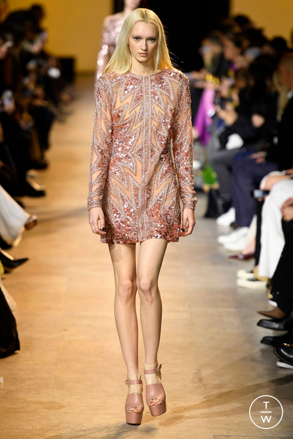 Fashion Week Paris Fall/Winter 2024 look 65 de la collection Elie Saab womenswear