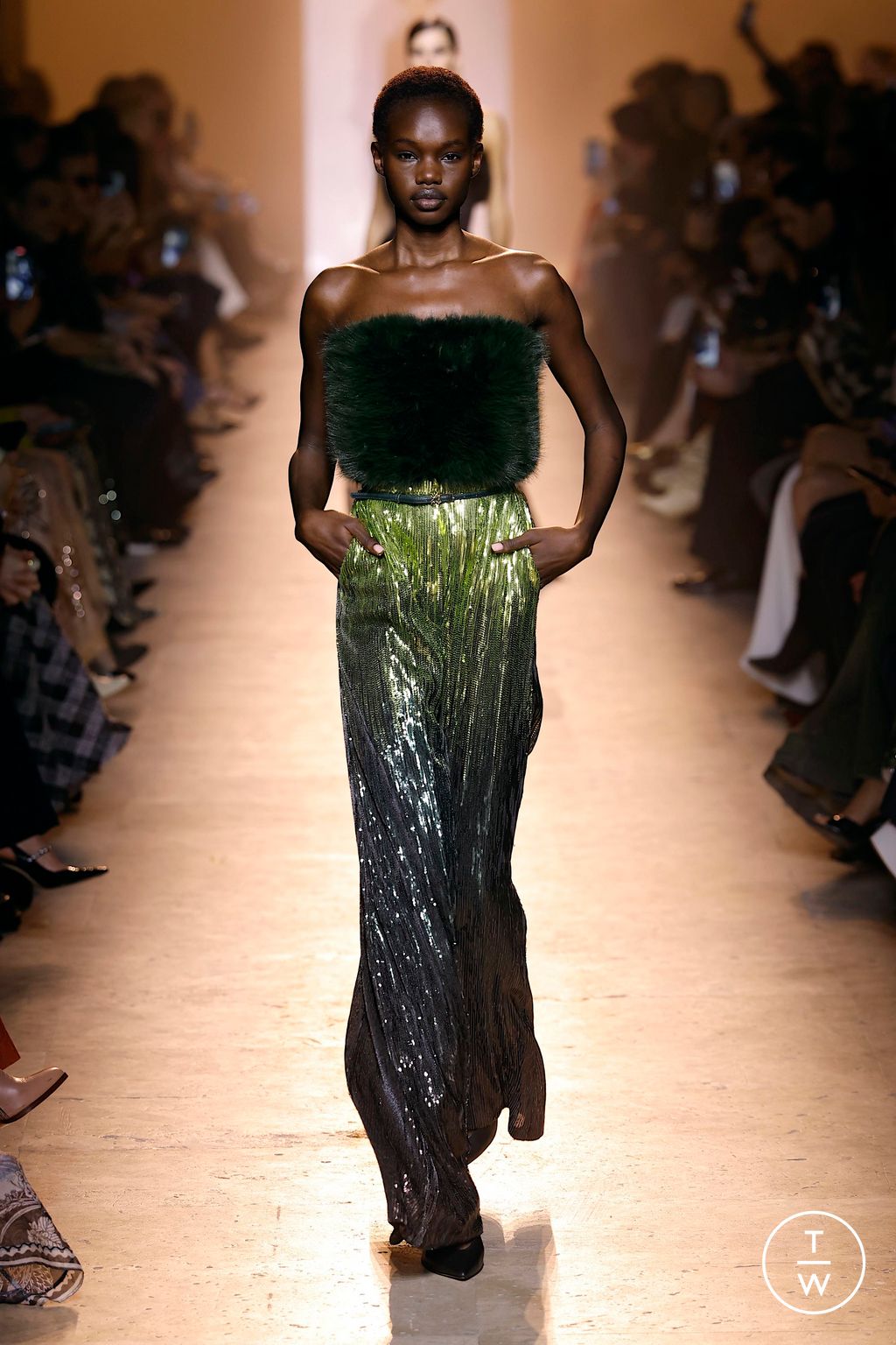 Fashion Week Paris Fall/Winter 2025 look 40 from the Elie Saab collection womenswear