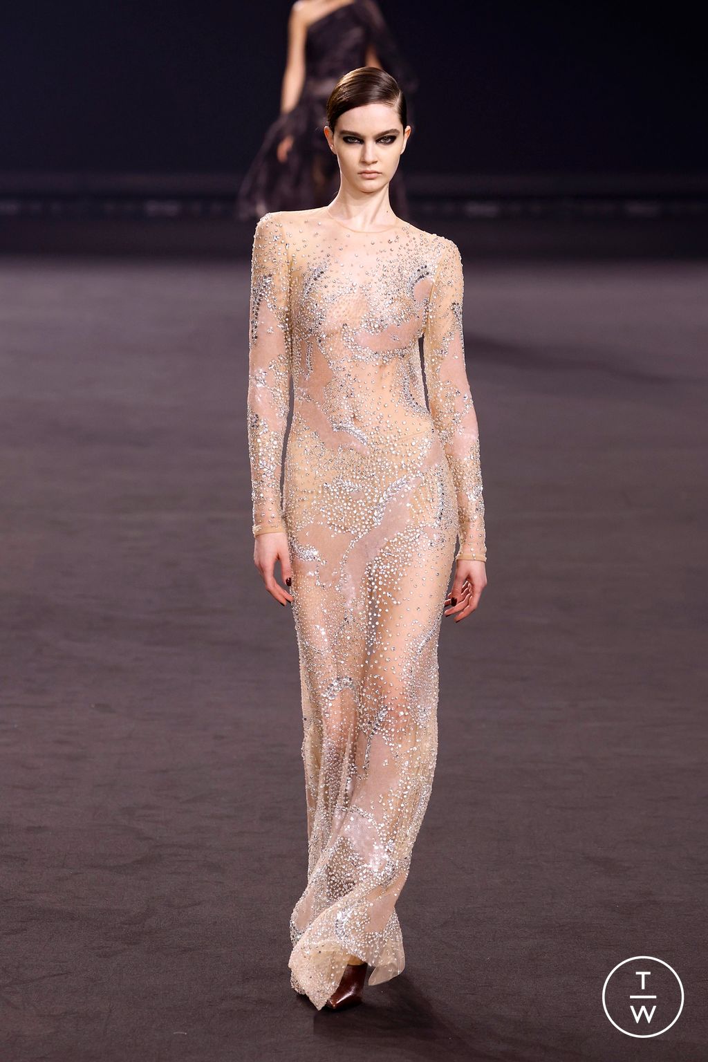 Fashion Week Paris Fall/Winter 2026 look 56 from the Elie Saab collection womenswear