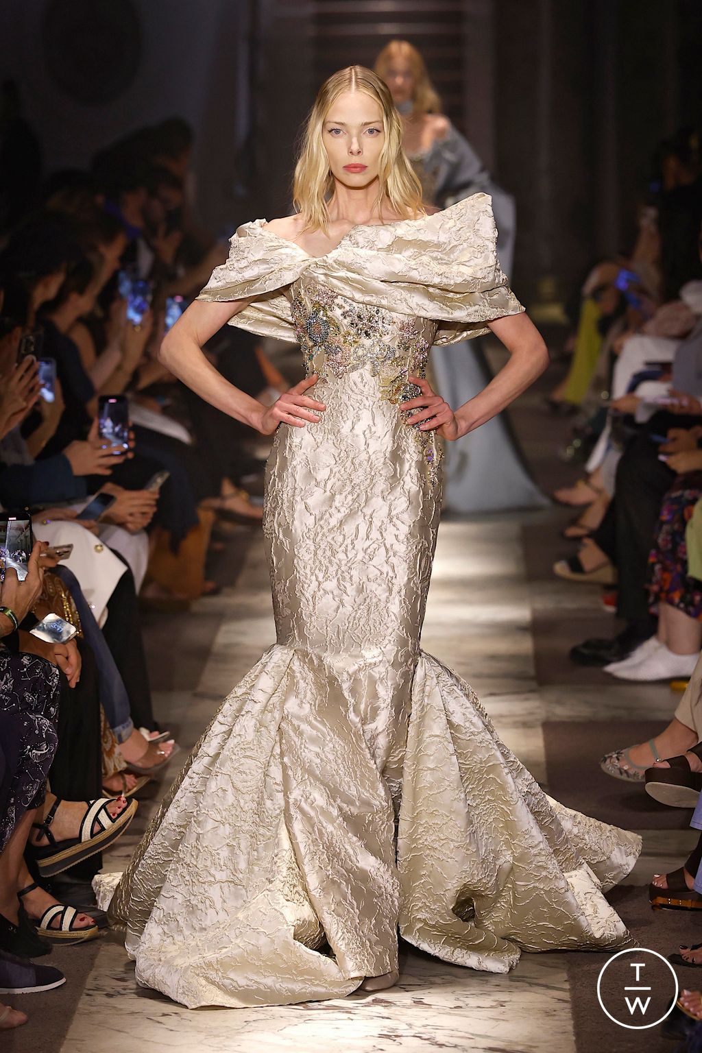 Fashion Week Paris Fall/Winter 2025 look 40 from the Elie Saab collection couture