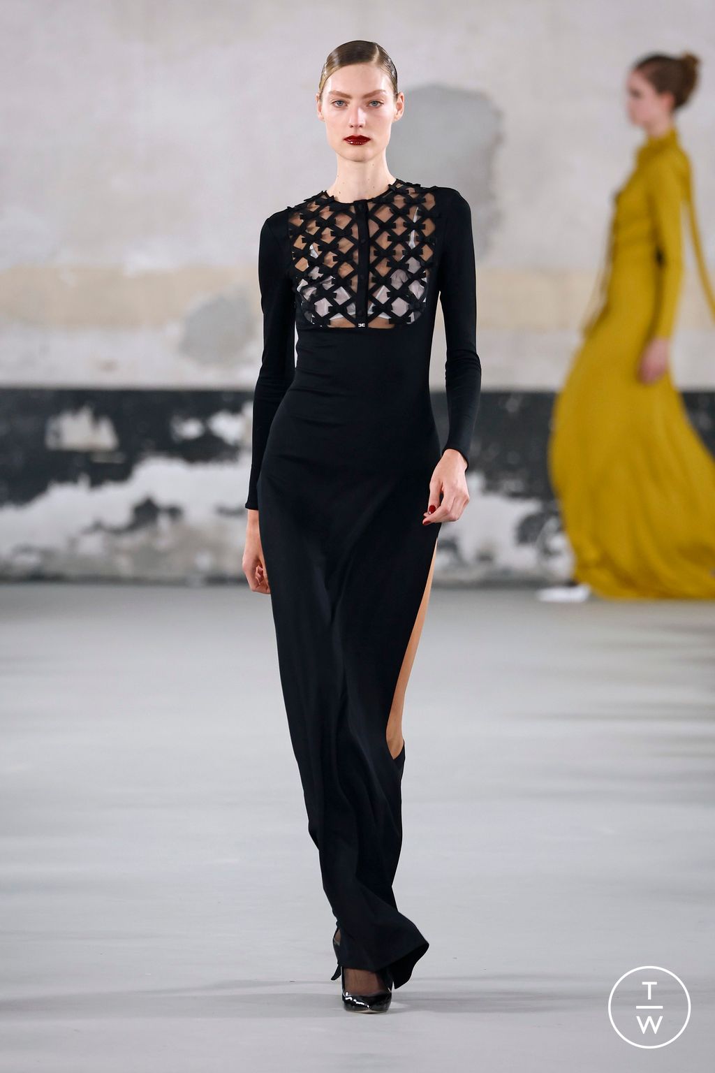 Fashion Week Milan Spring-Summer 2025 look 38 from the Elisabetta Franchi collection womenswear