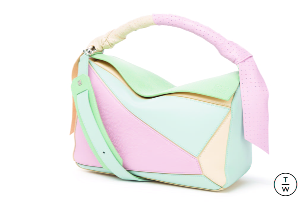 Fashion Week Paris Spring/Summer 2018 look 7 from the Loewe collection womenswear accessories