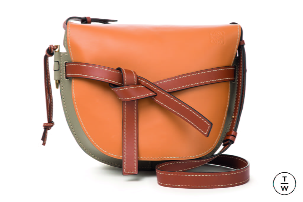 Fashion Week Paris Spring/Summer 2018 look 19 from the Loewe collection womenswear accessories