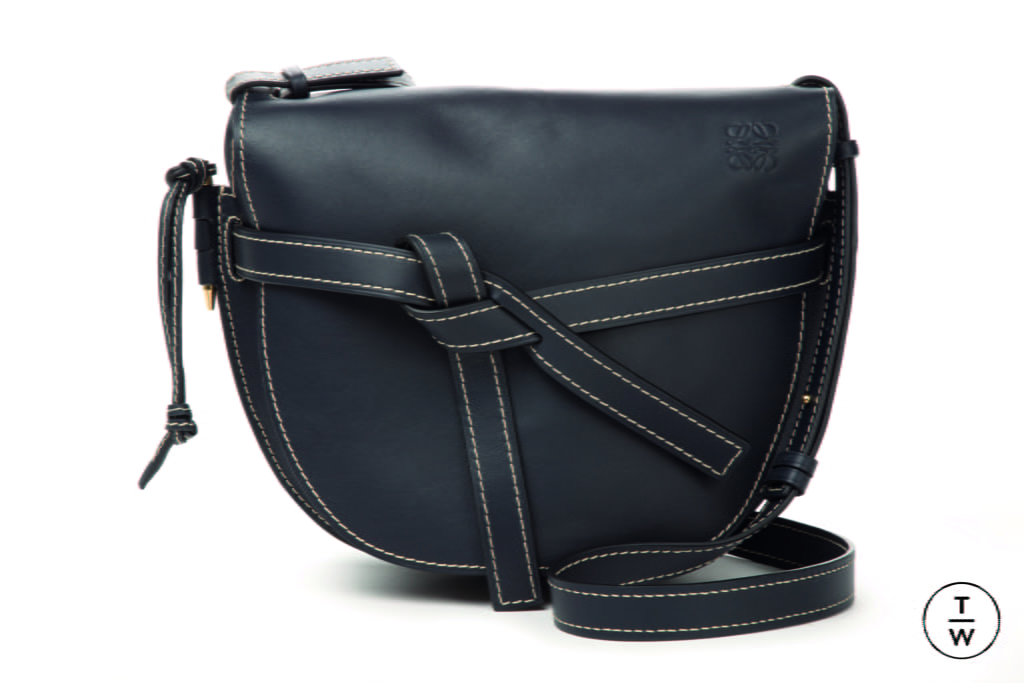 Fashion Week Paris Spring/Summer 2018 look 20 de la collection Loewe womenswear accessories