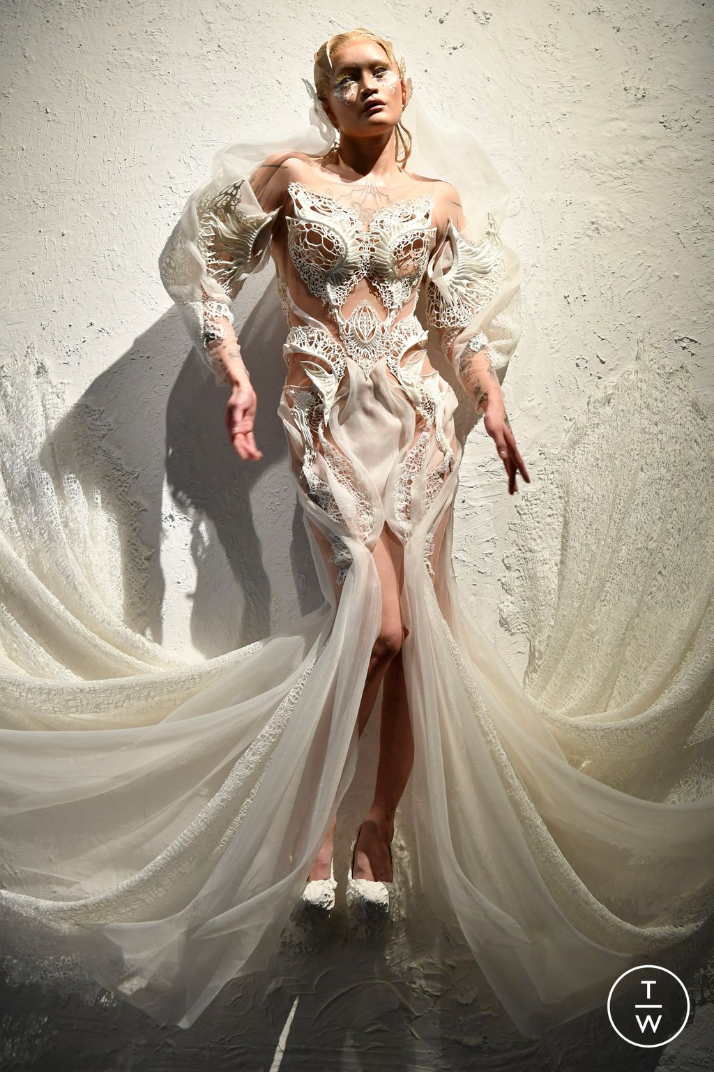 Fashion Week Paris Fall/Winter 2024 look 2 de la collection Iris Van Herpen couture