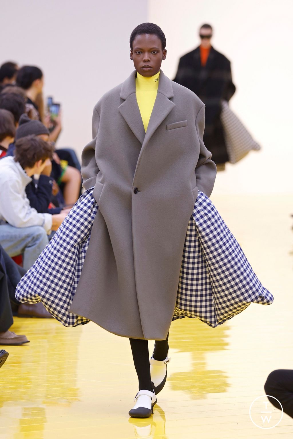 Fashion Week Paris Fall/Winter 2026 look 40 from the Loewe collection womenswear