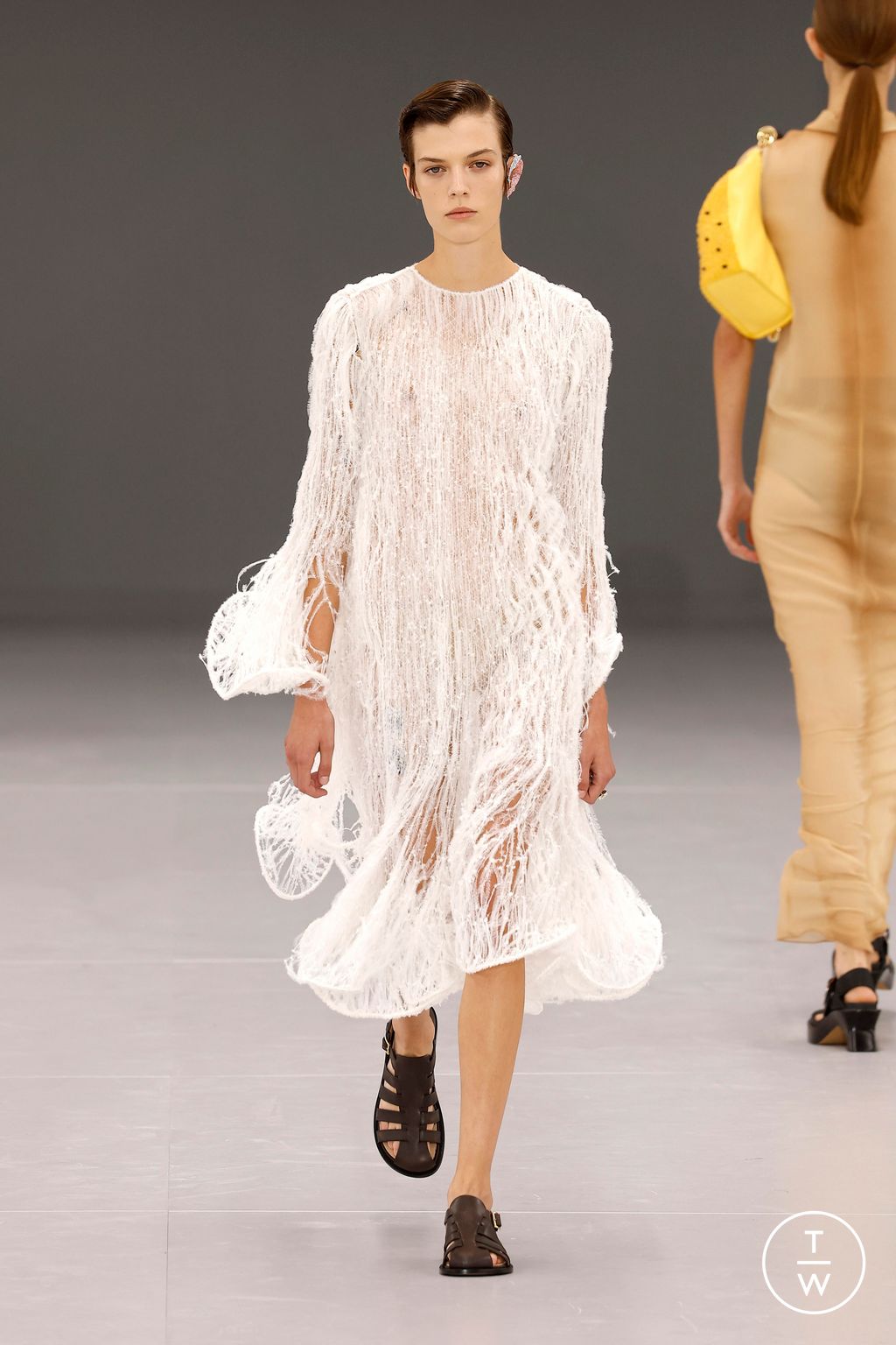 Fashion Week Paris Spring/Summer 2024 look 41 from the Loewe collection 女装