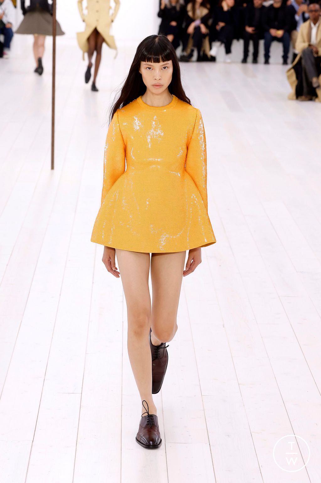 Fashion Week Paris Spring/Summer 2025 look 35 from the Loewe collection womenswear