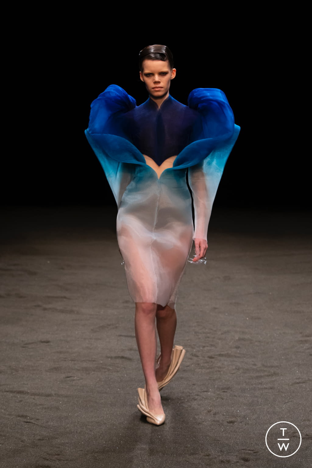 Fashion Week Paris Spring/Summer 2021 look 1 from the Iris Van Herpen collection couture