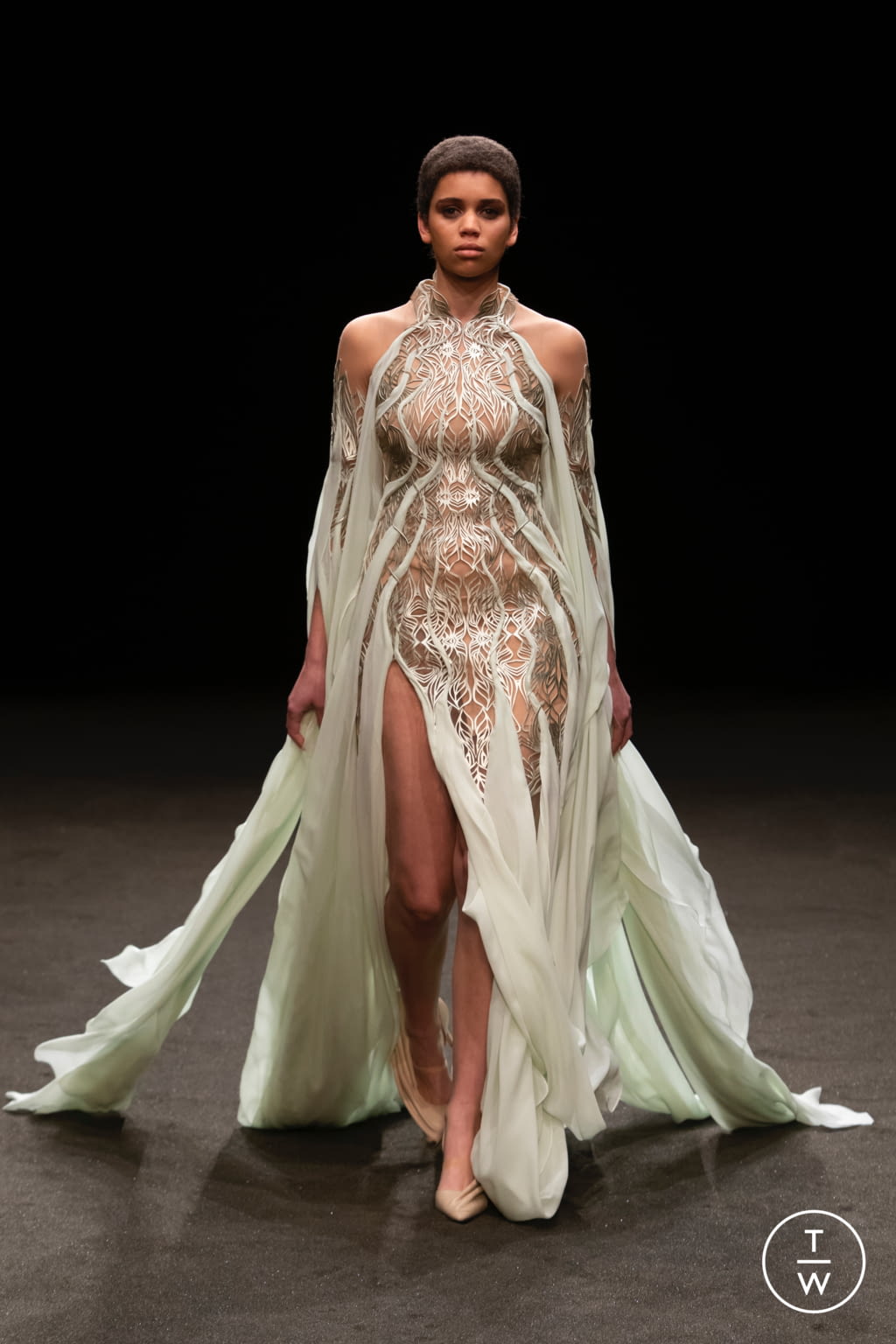 Fashion Week Paris Spring/Summer 2021 look 4 from the Iris Van Herpen collection couture