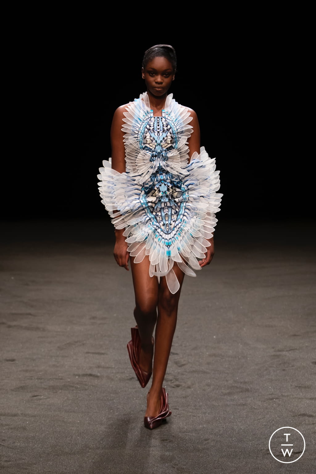 Fashion Week Paris Spring/Summer 2021 look 16 from the Iris Van Herpen collection couture