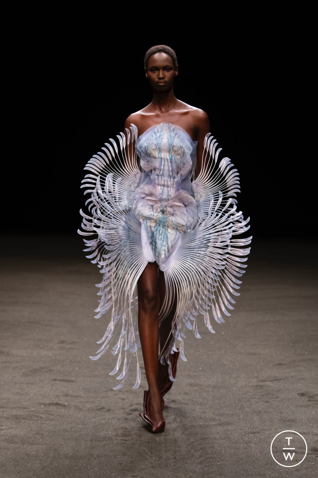 Fashion Week Paris Spring/Summer 2021 look 17 from the Iris Van Herpen collection couture