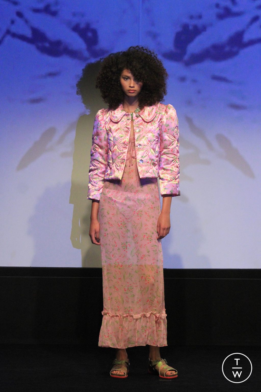 Fashion Week New York Spring/Summer 2024 look 15 de la collection Anna Sui womenswear
