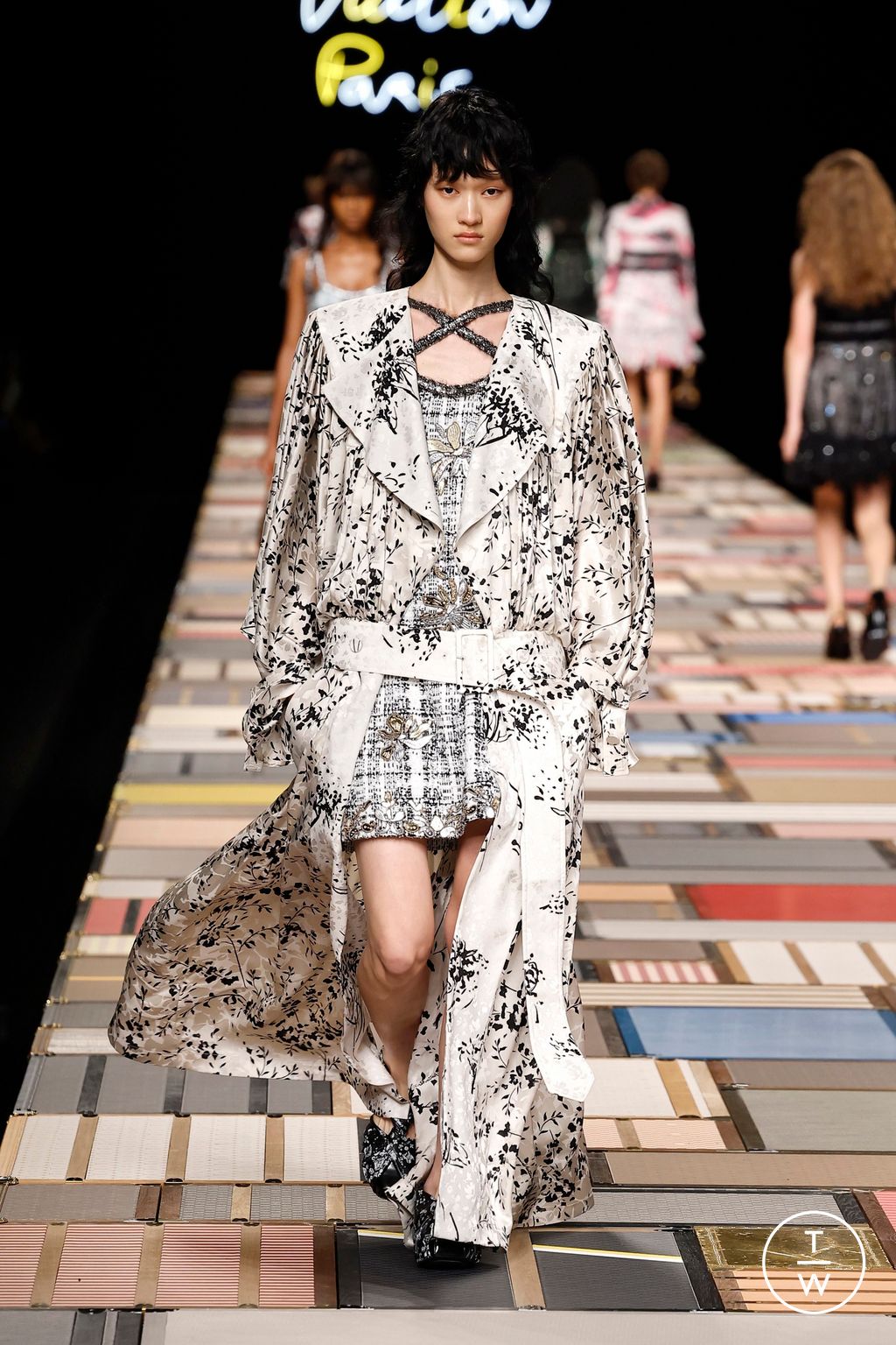 Fashion Week Paris Spring-Summer 2025 look 19 from the Louis Vuitton collection womenswear
