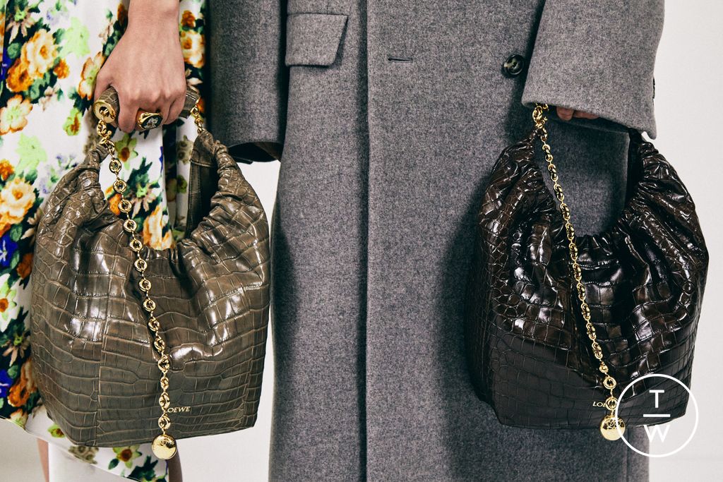 Fashion Week Paris Fall/Winter 2024 look 10 from the Loewe collection womenswear accessories