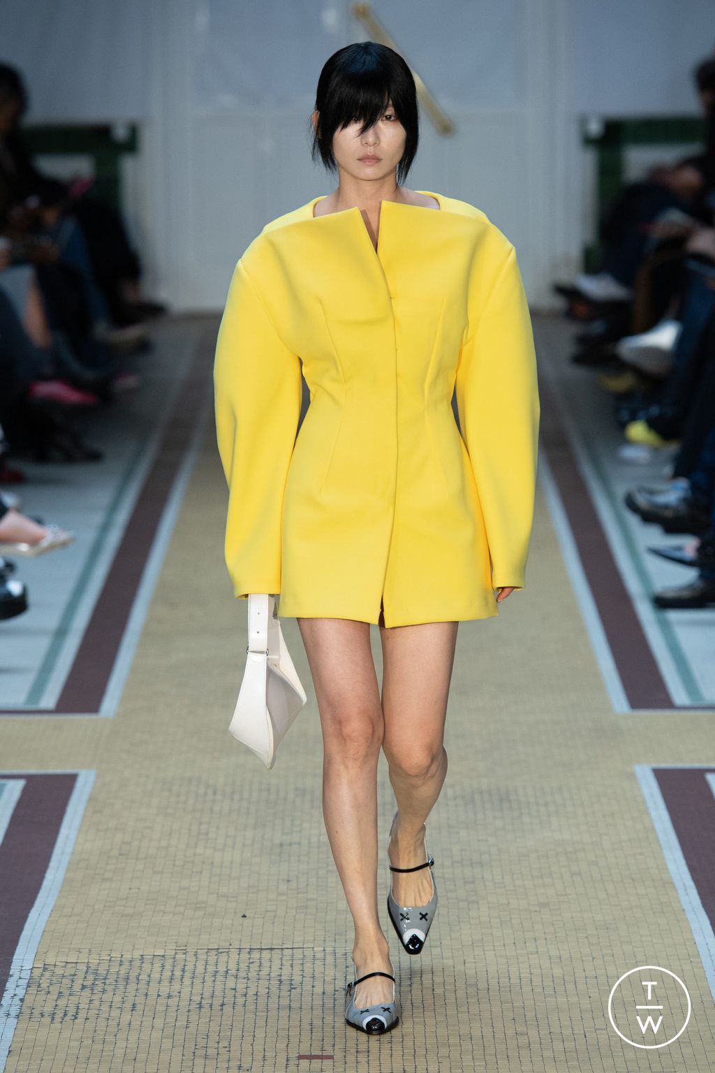 Fashion Week Paris Spring/Summer 2025 look 15 from the Maitrepierre collection womenswear