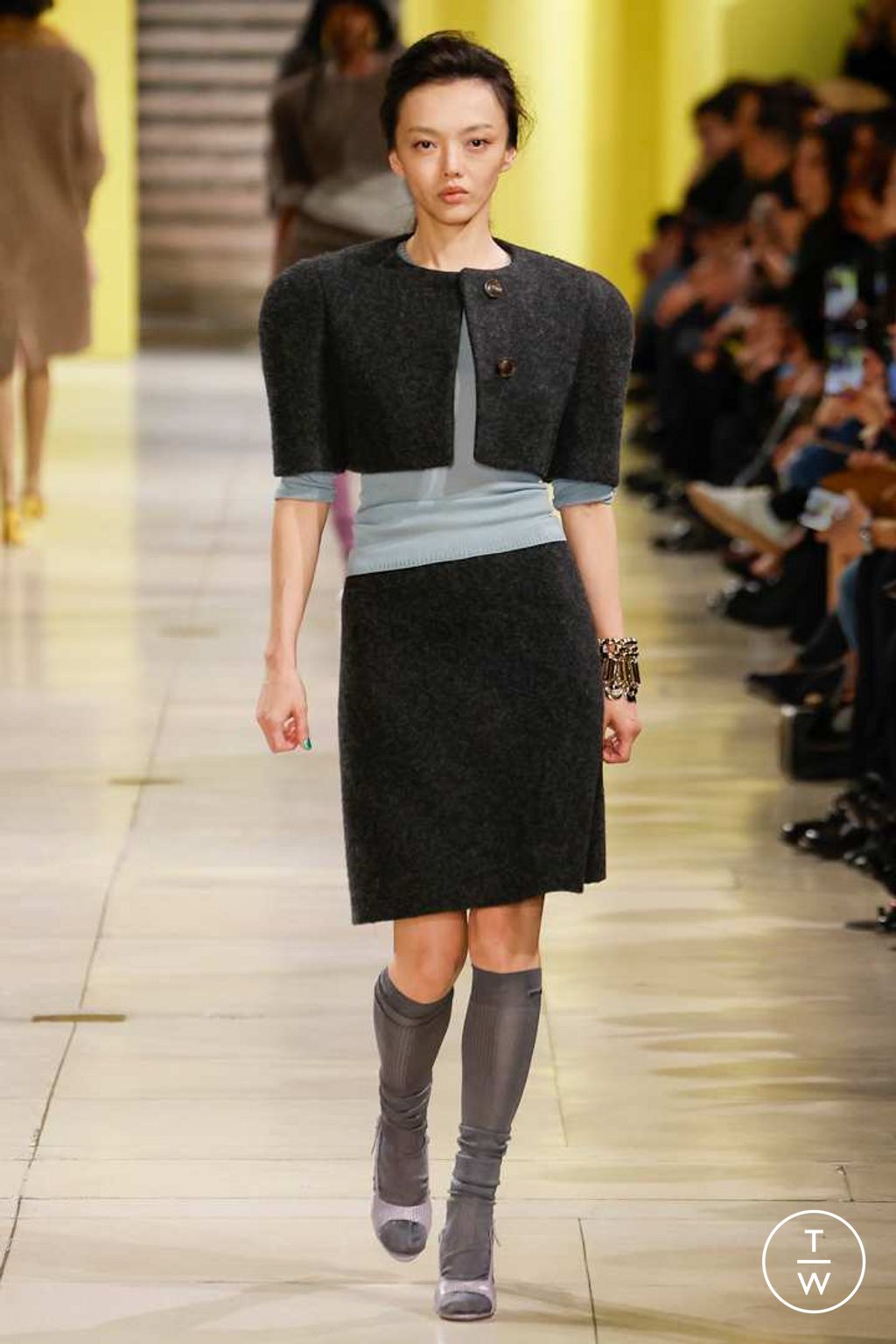 Fashion Week Paris Fall/Winter 2025 look 52 from the Miu Miu collection womenswear