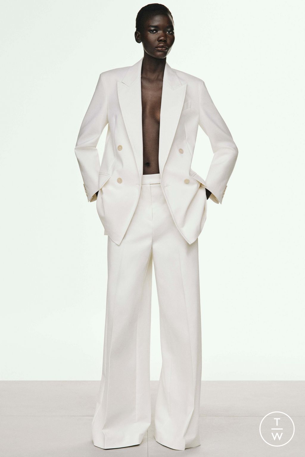 Fashion Week Milan Pre-Fall 2025 look 13 from the Max Mara collection womenswear