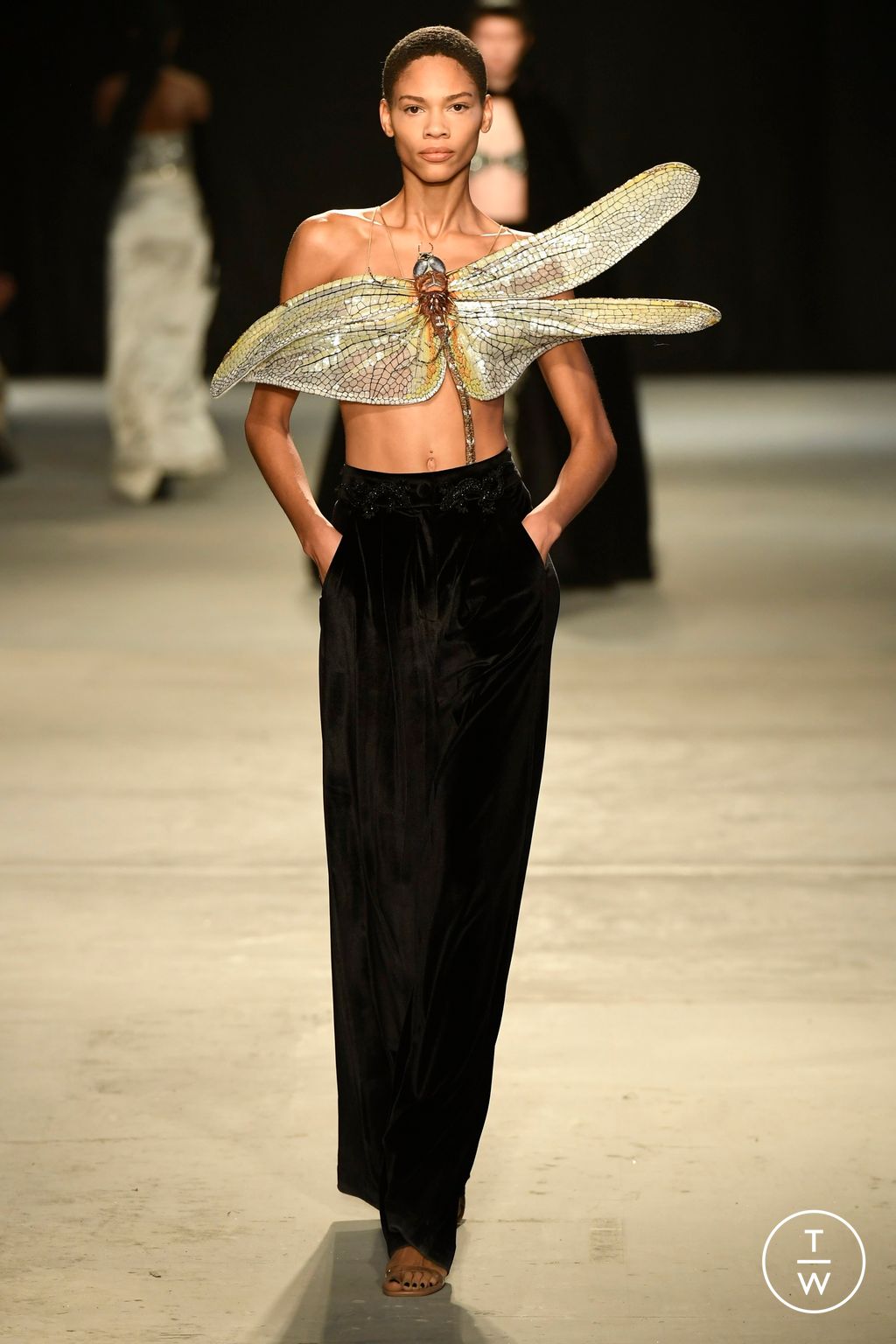 Fashion Week Paris Spring/Summer 2024 look 39 de la collection Rahul Mishra couture