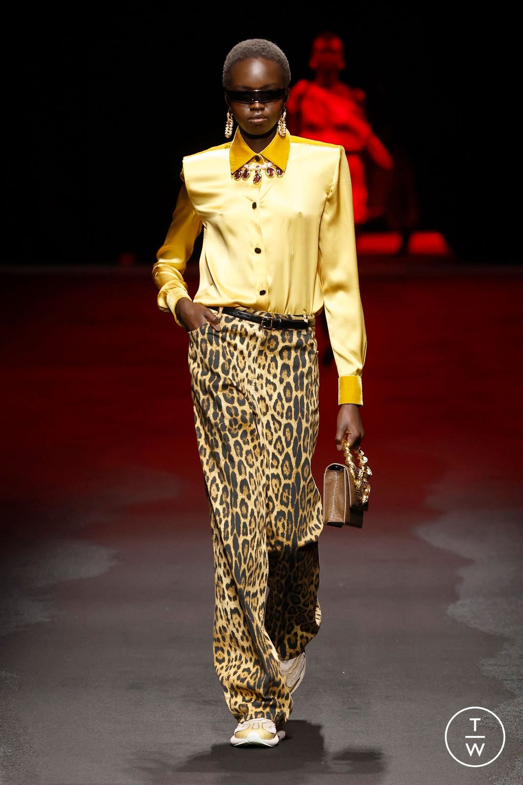 Fashion Week Milan Fall/Winter 2025 look 24 from the Roberto Cavalli collection womenswear