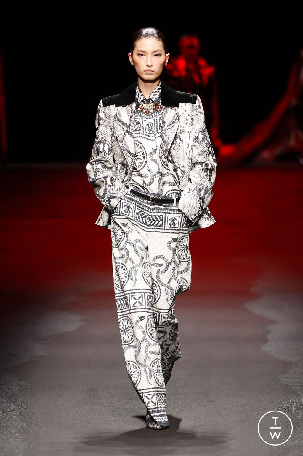 Fashion Week Milan Fall/Winter 2025 look 39 from the Roberto Cavalli collection womenswear