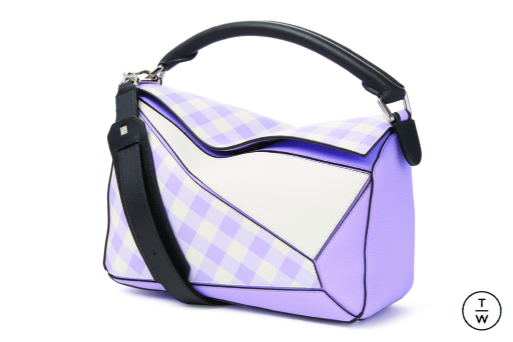 Fashion Week Paris Spring/Summer 2018 look 33 from the Loewe collection womenswear accessories