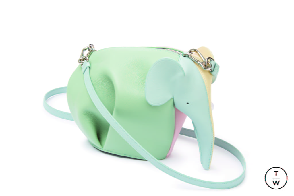 Fashion Week Paris Spring/Summer 2018 look 41 from the Loewe collection womenswear accessories