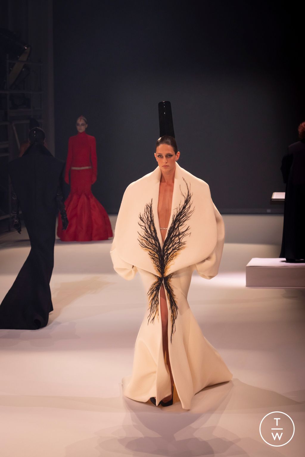 Fashion Week Paris Fall/Winter 2025 look 14 from the Stephane Rolland collection couture