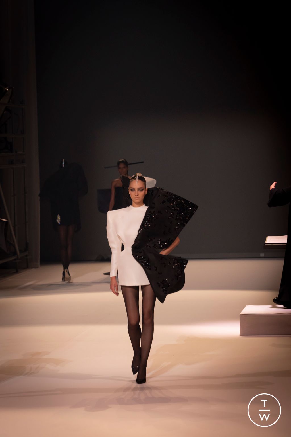 Fashion Week Paris Fall/Winter 2025 look 26 from the Stephane Rolland collection couture