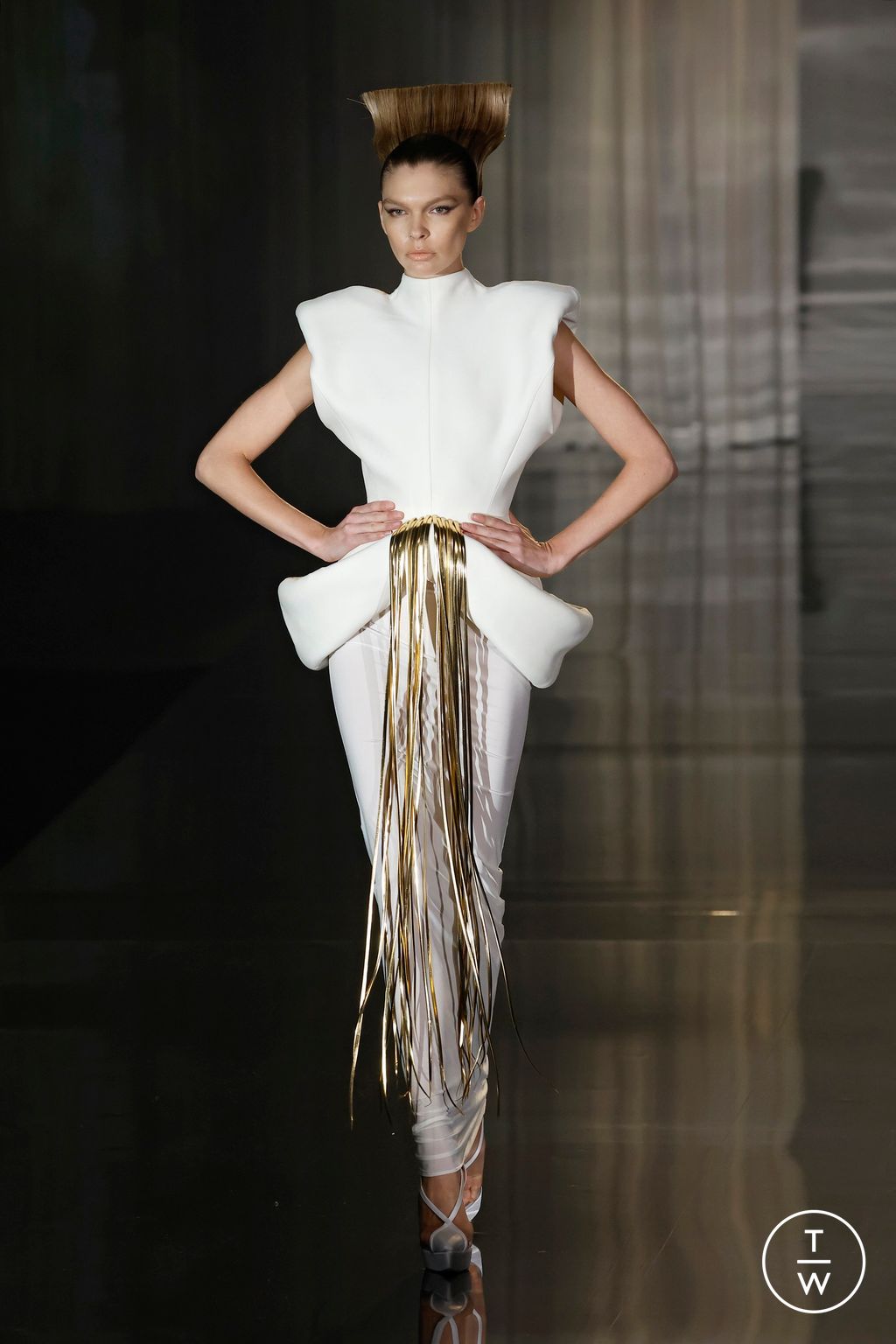 Fashion Week Paris Spring/Summer 2025 look 6 from the Stephane Rolland collection 高级定制