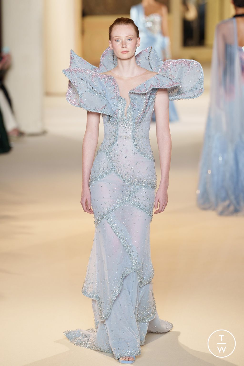 Fashion Week Paris Fall/Winter 2024 look 24 from the Tony Ward collection couture