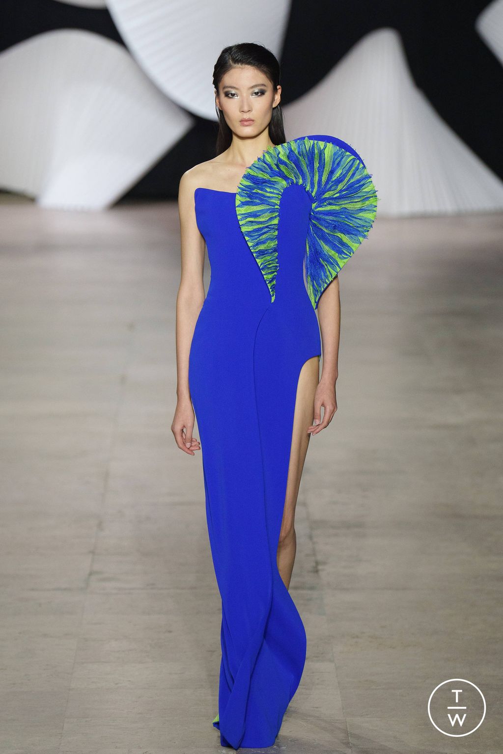 Fashion Week Paris Spring/Summer 2024 look 38 from the Tony Ward collection 高级定制