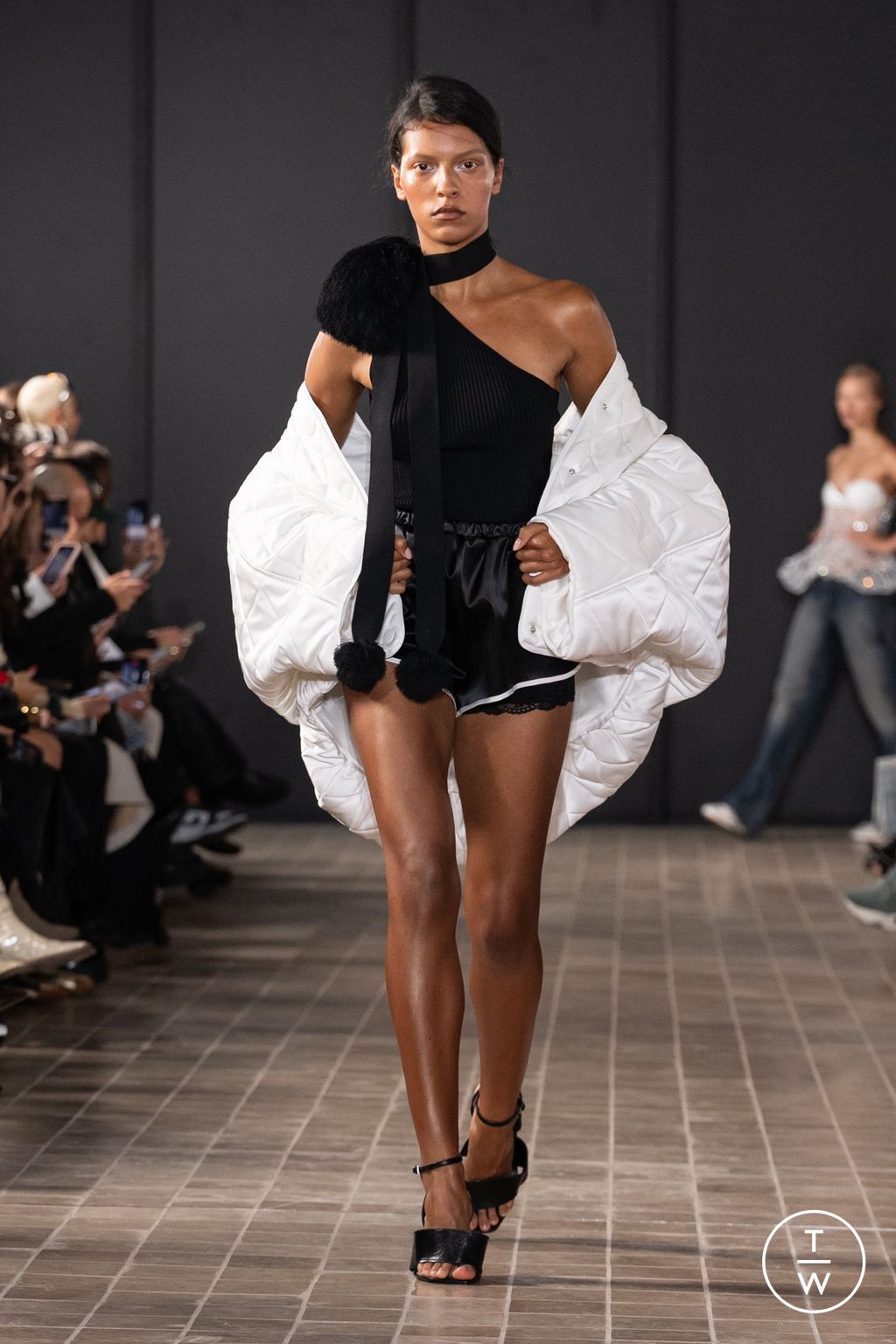 Fashion Week Paris Spring/Summer 2025 look 24 from the Vaillant collection 女装