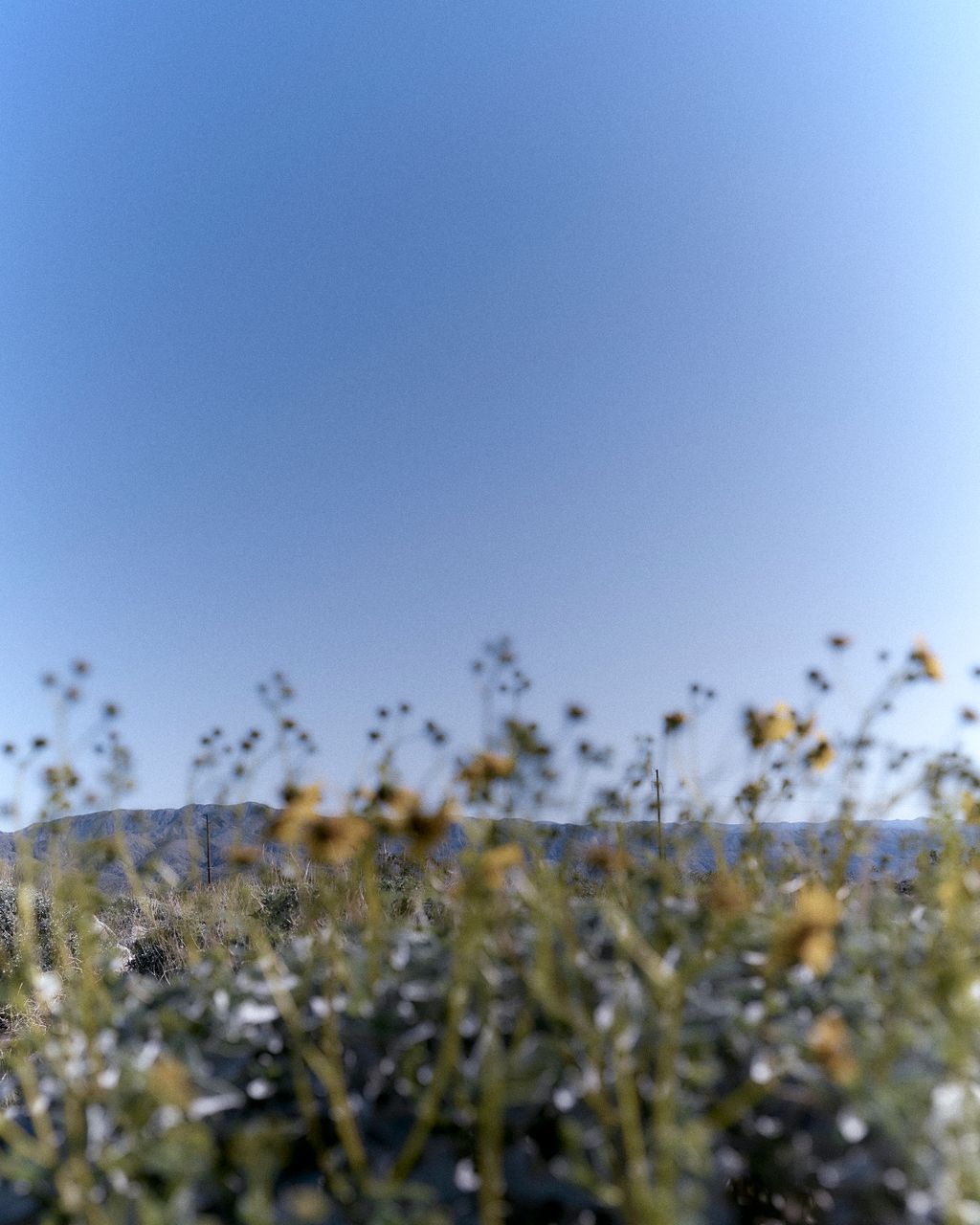 Fashion Week Paris Fall/Winter 2024 look 92 from the Birkenstock 1774 collection womenswear accessories