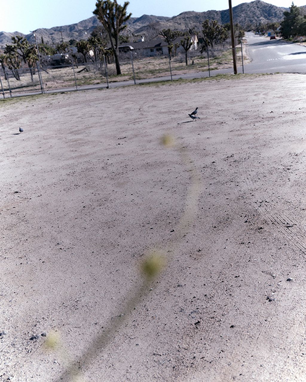 Fashion Week Paris Fall/Winter 2024 look 14 from the Birkenstock 1774 collection menswear accessories