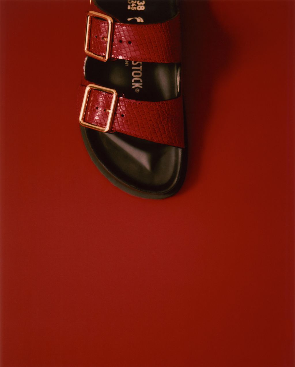 Fashion Week Paris Fall/Winter 2024 look 113 from the Birkenstock 1774 collection menswear accessories