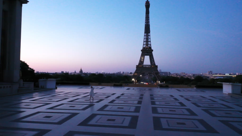 Fashion Week Paris Fall/Winter 2020 look 25 from the Christophe Josse collection couture