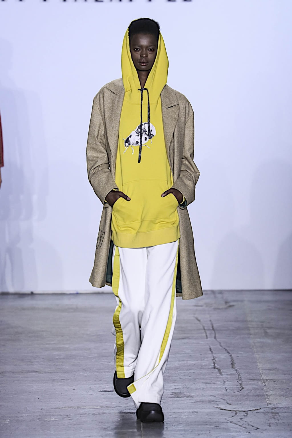 Fashion Week New York Fall/Winter 2019 look 35 from the Dirty Pineapple collection womenswear