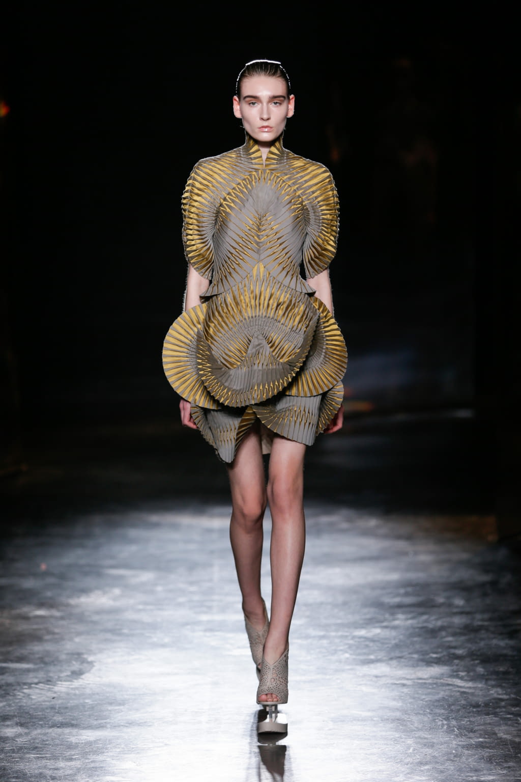 Fashion Week Paris Fall/Winter 2016 look 13 from the Iris Van Herpen collection 女装