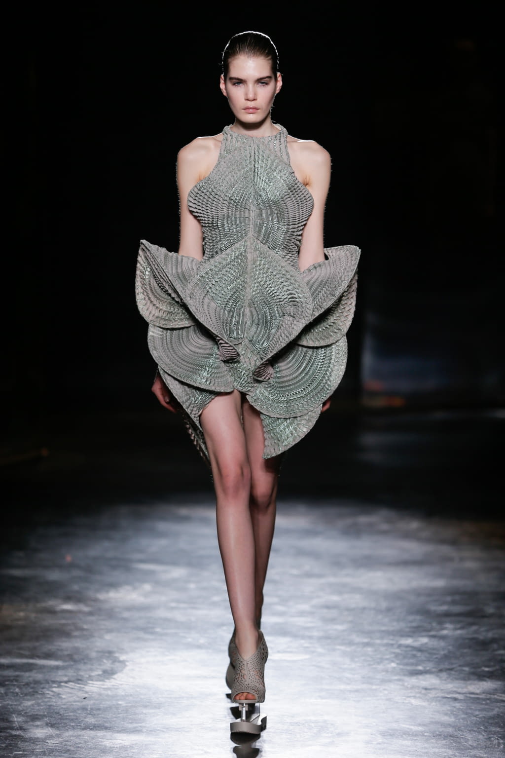 Fashion Week Paris Fall/Winter 2016 look 14 from the Iris Van Herpen collection 女装