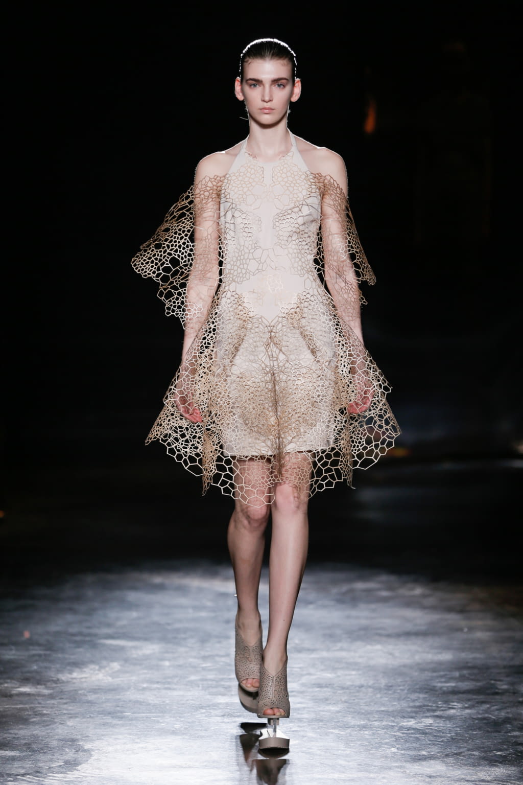 Fashion Week Paris Fall/Winter 2016 look 15 from the Iris Van Herpen collection 女装