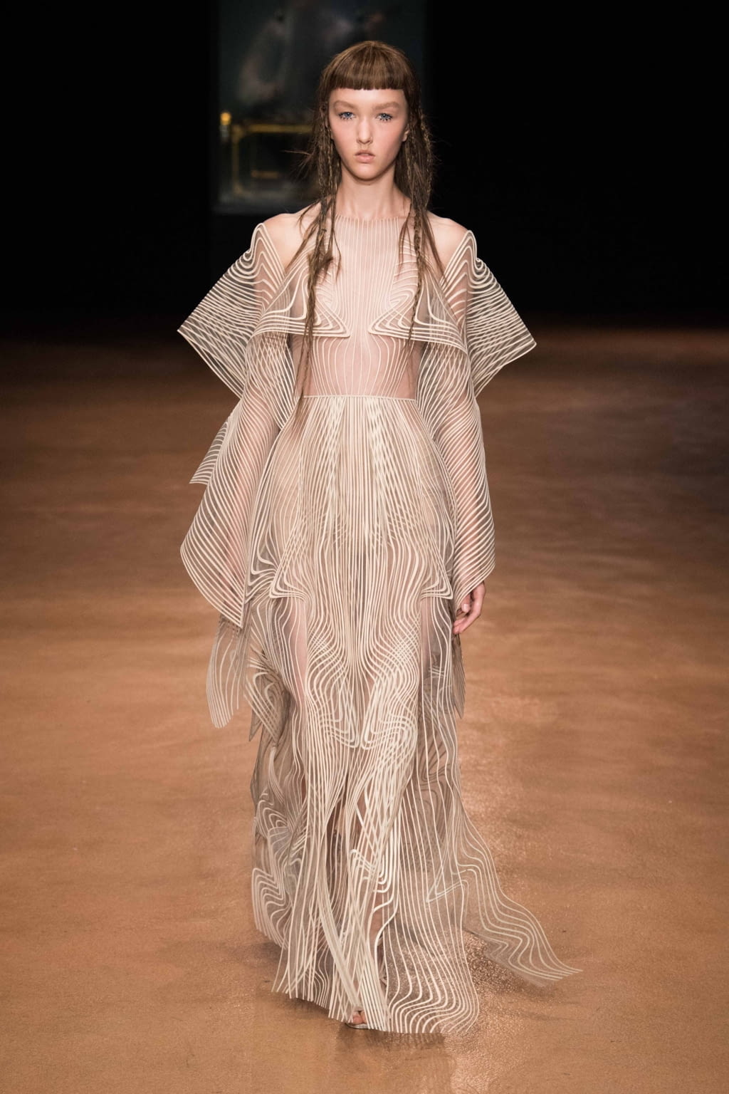 Fashion Week Paris Fall/Winter 2017 look 2 from the Iris Van Herpen collection couture