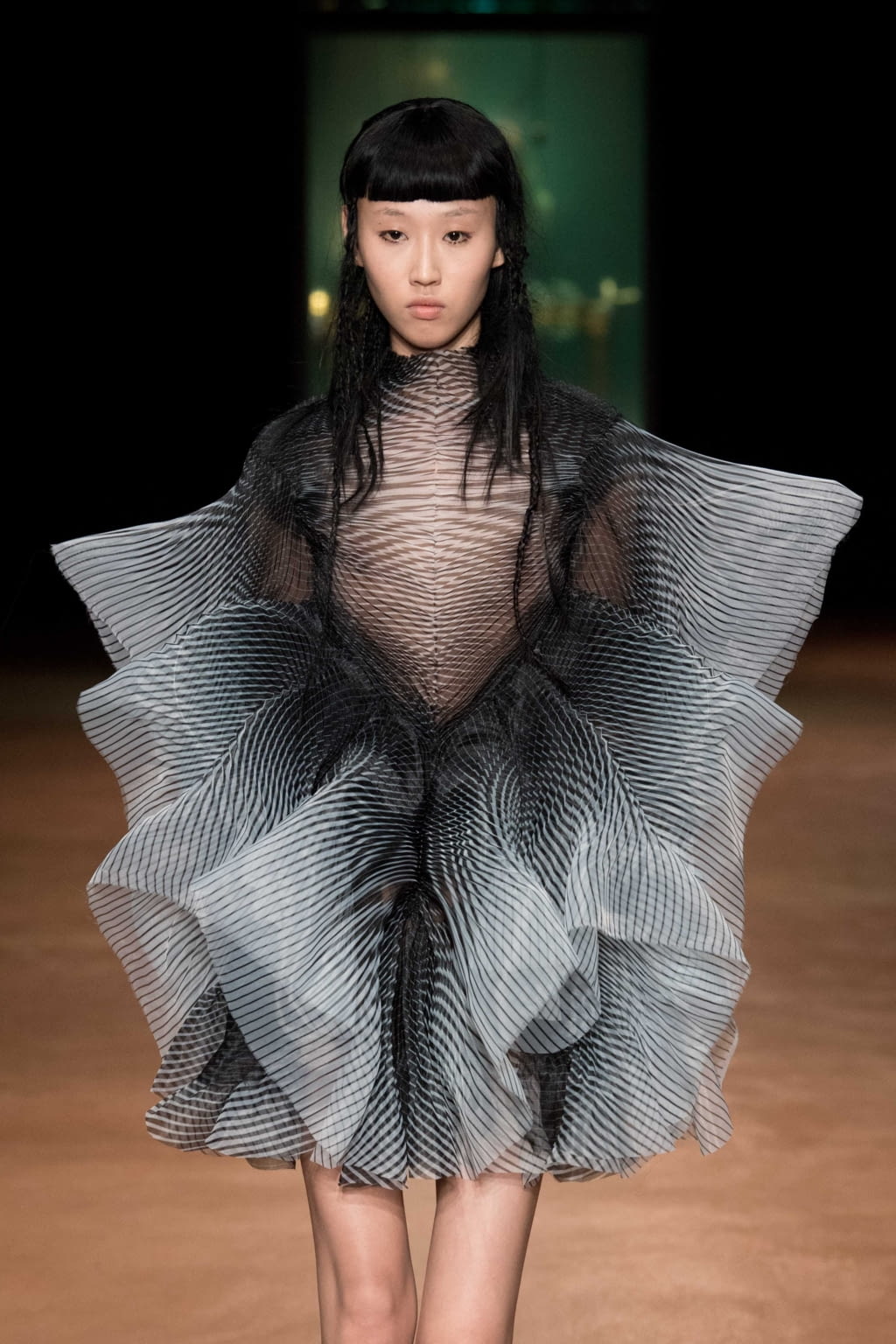 Fashion Week Paris Fall/Winter 2017 look 4 from the Iris Van Herpen collection couture