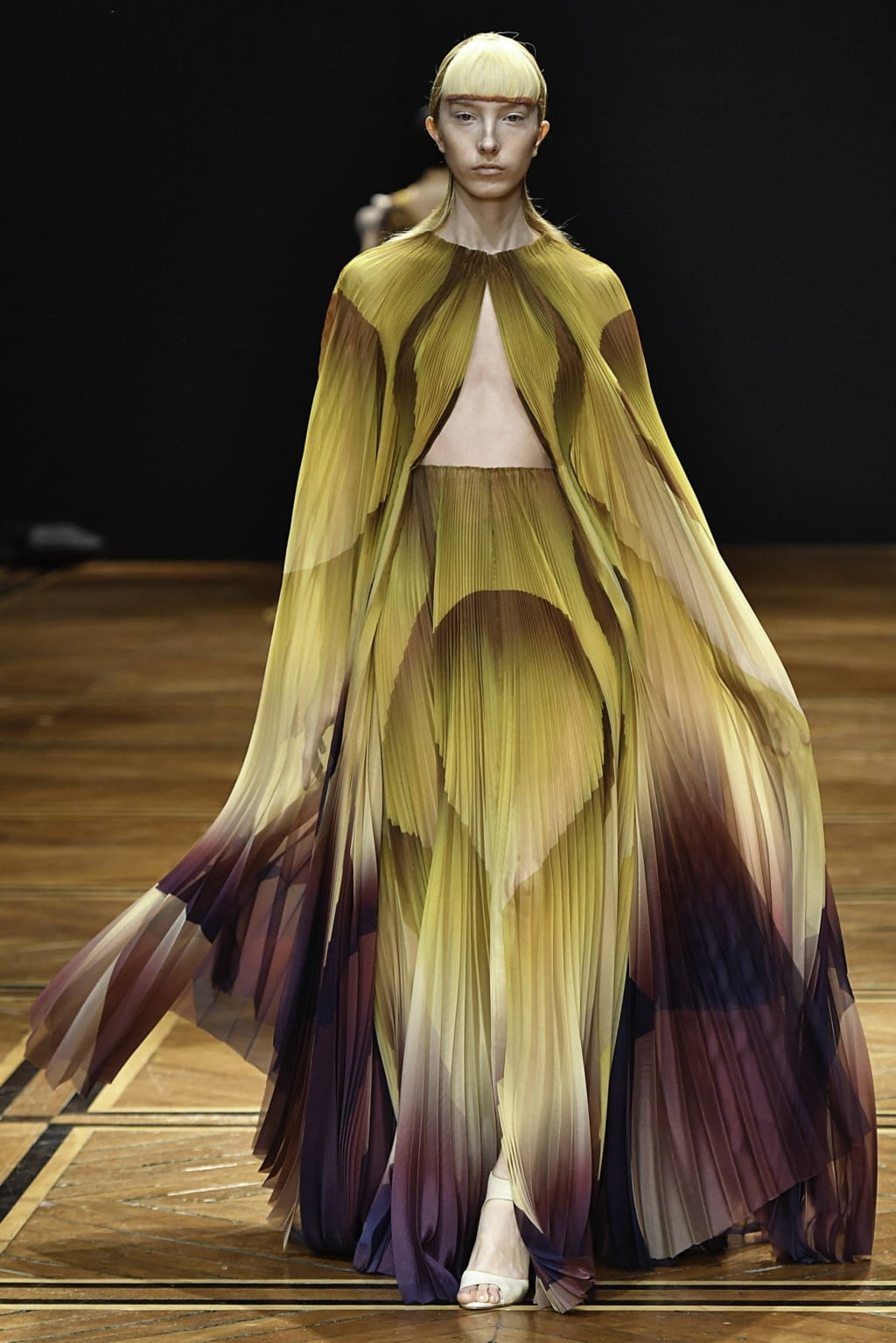 Fashion Week Paris Spring/Summer 2019 look 11 de la collection Iris Van Herpen couture