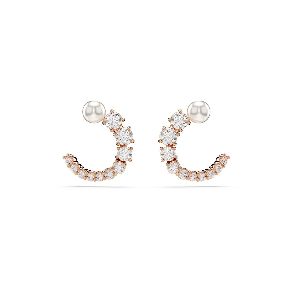 Fashion Week Paris Fall/Winter 2024 look 87 from the Swarovski collection womenswear accessories