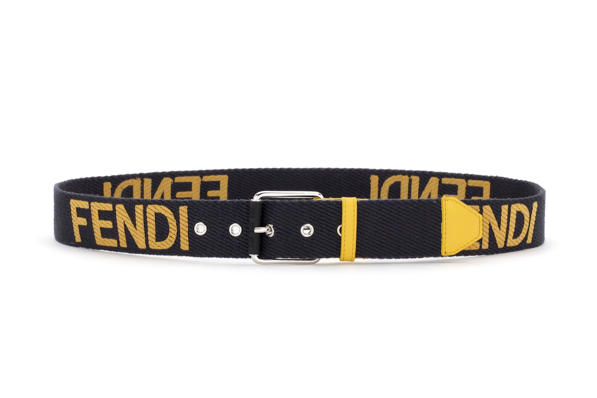 fendi dog accessories