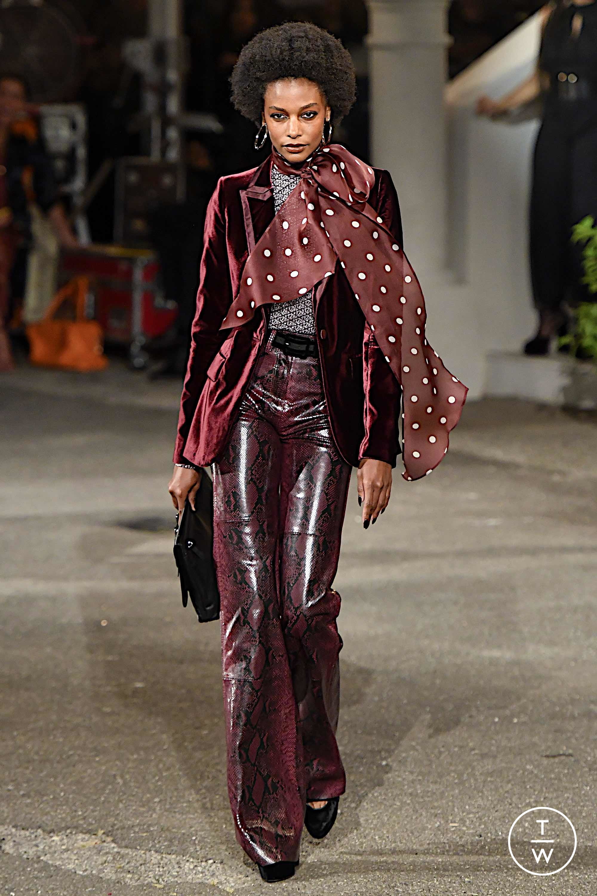 tommy new collection 2019